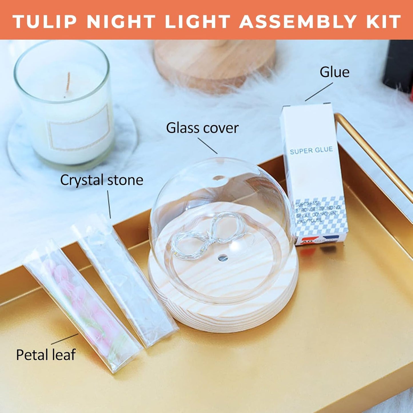 DIY Tulip LED Night Light | Round